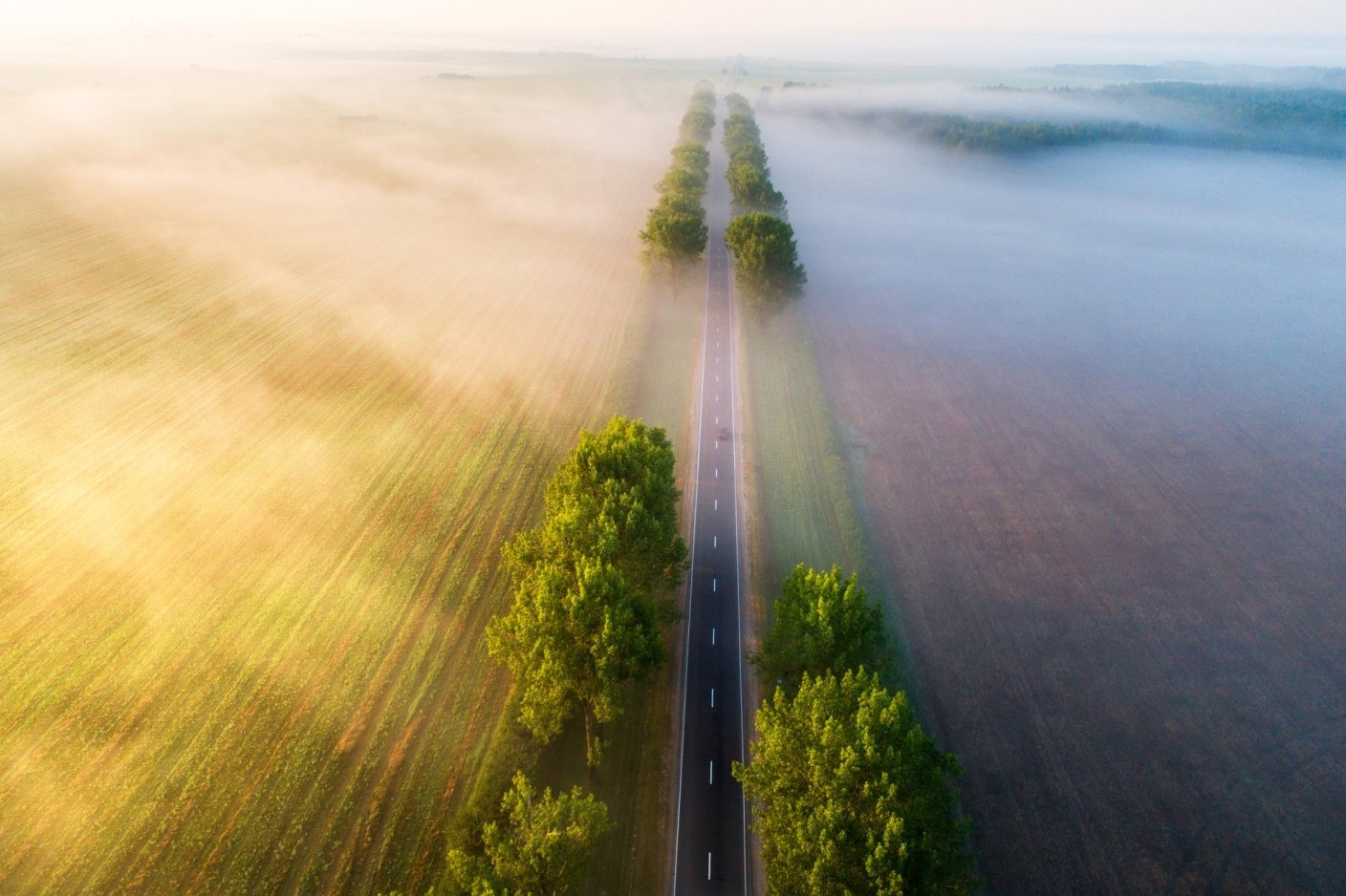 Navigating the Future of Biocides: Insights from the 13th BPR Symposium