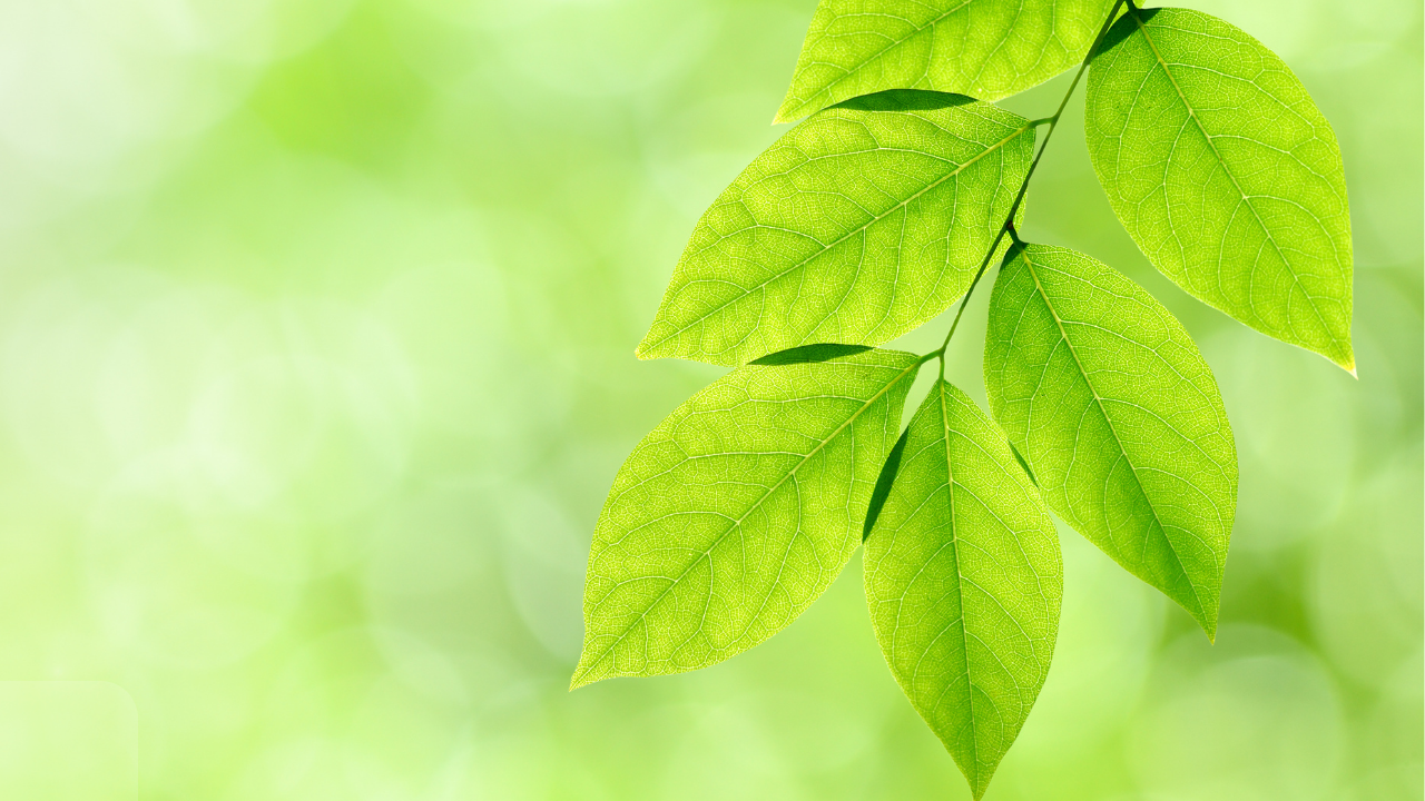 Corporate Sustainability & Social Responsibility Strategy