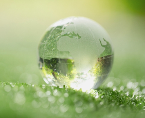 Sustainability