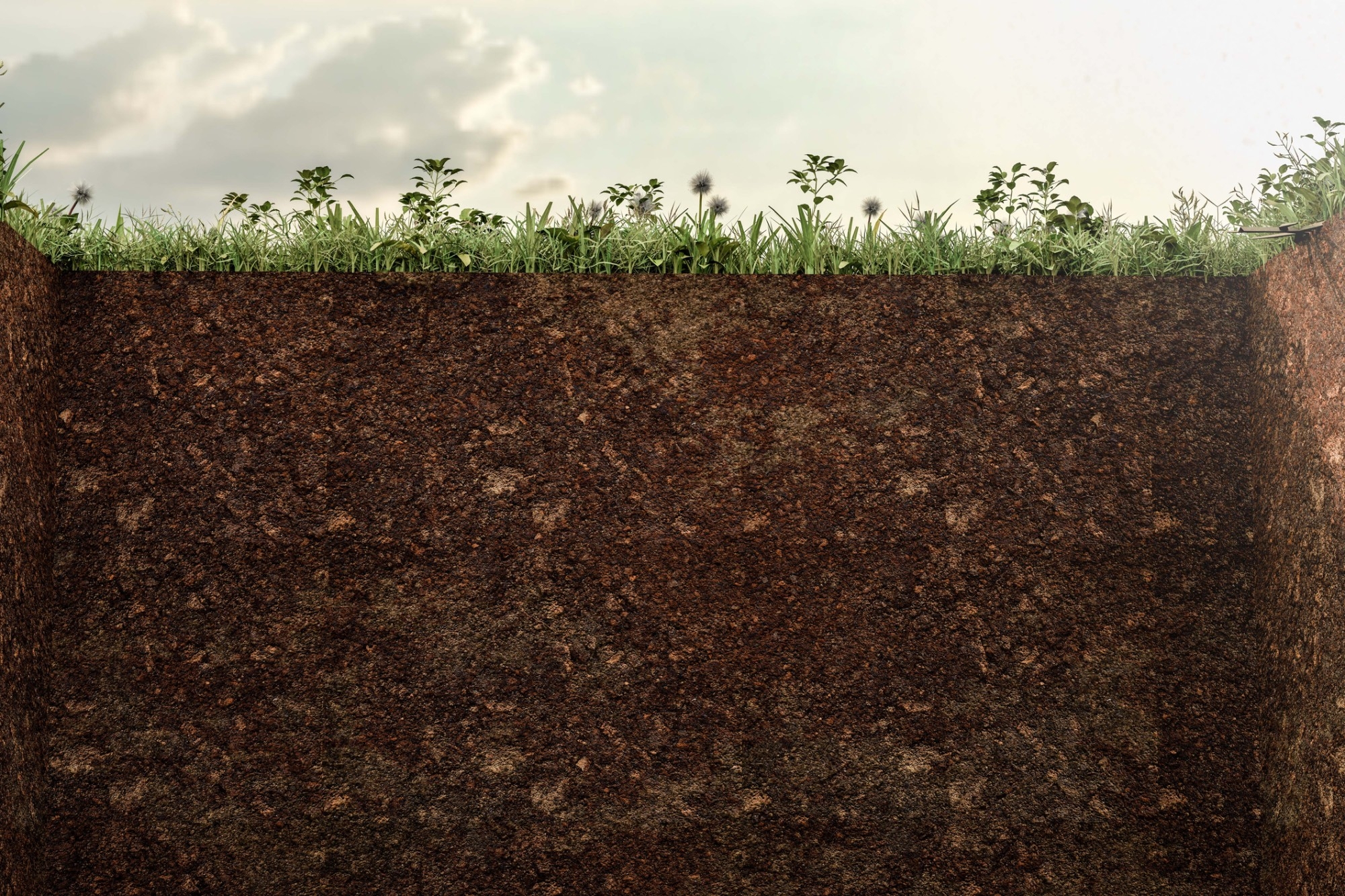 Threshold calculator for metals in soil